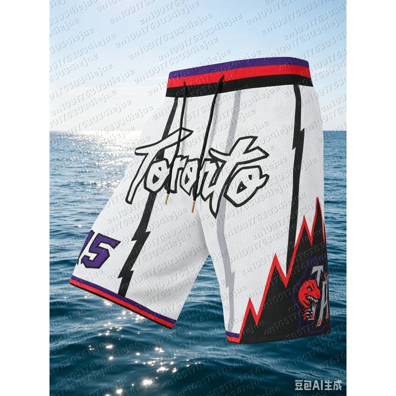 Sports Equipment Resale - Shorts de basketball rétro Raptors violet